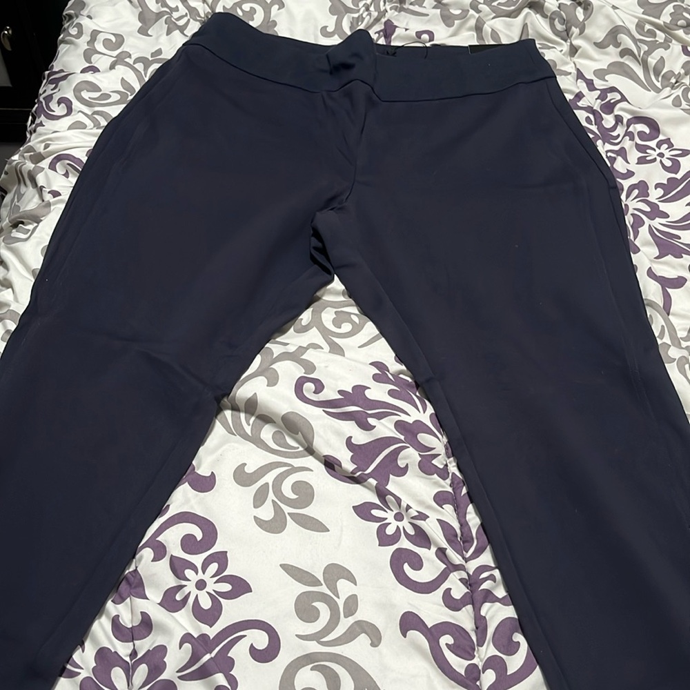 Express Columnist Ankle High Rise Pants